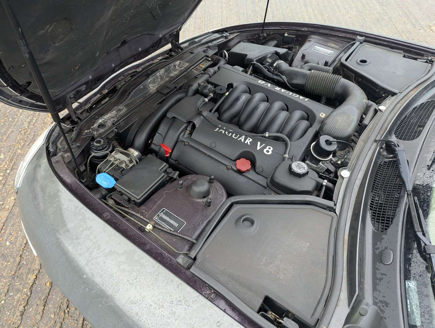 <p>1998 JAGUAR XK8 COUPE AUTO</p>