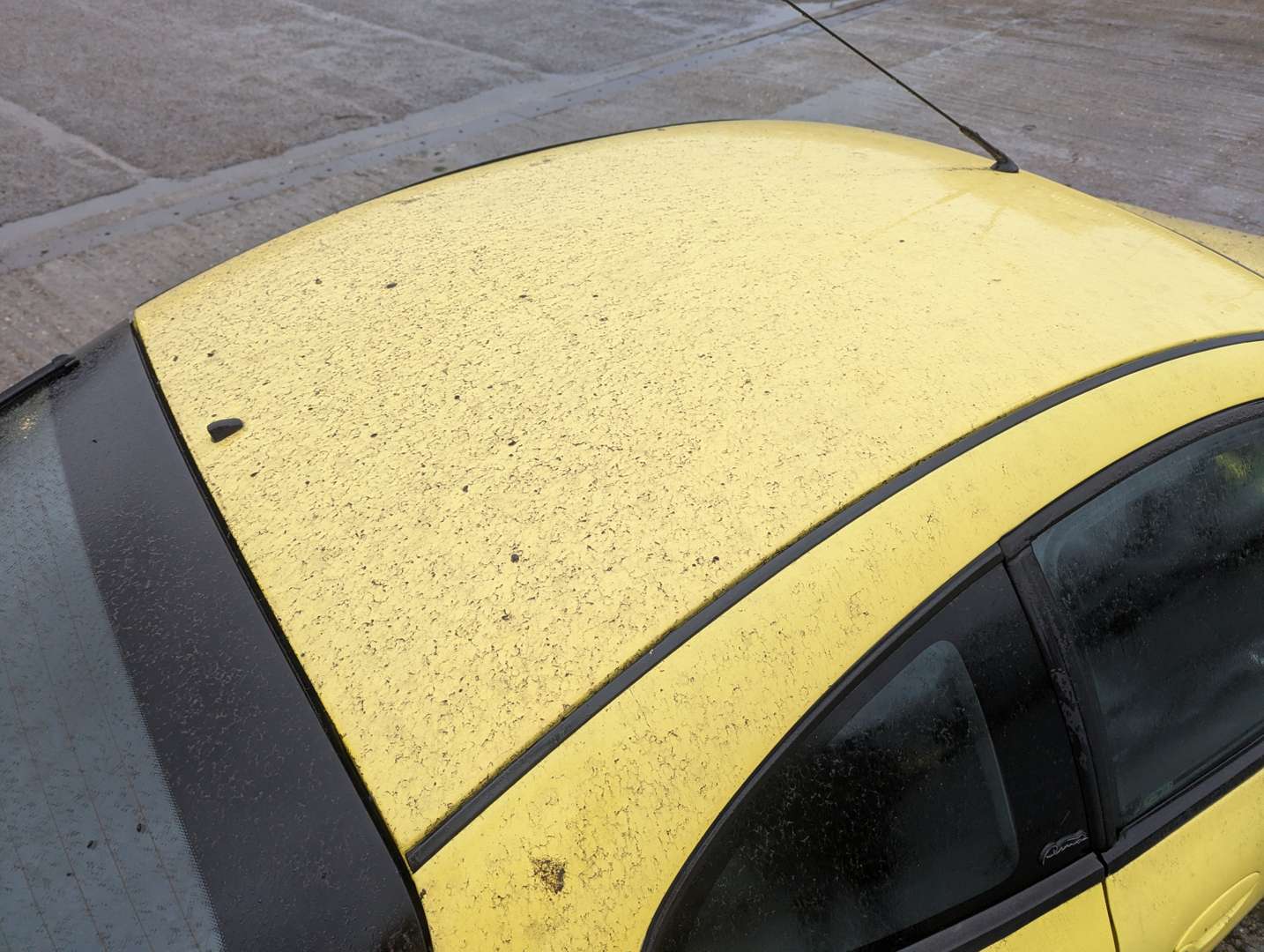 <p>2000 FORD PUMA MILLENNIUM</p>