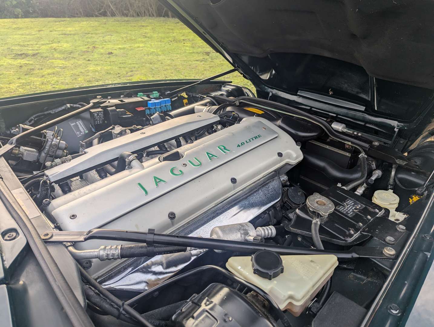 <p>1995 JAGUAR XJ-S 4.0 CONVERTIBLE AUTO</p>