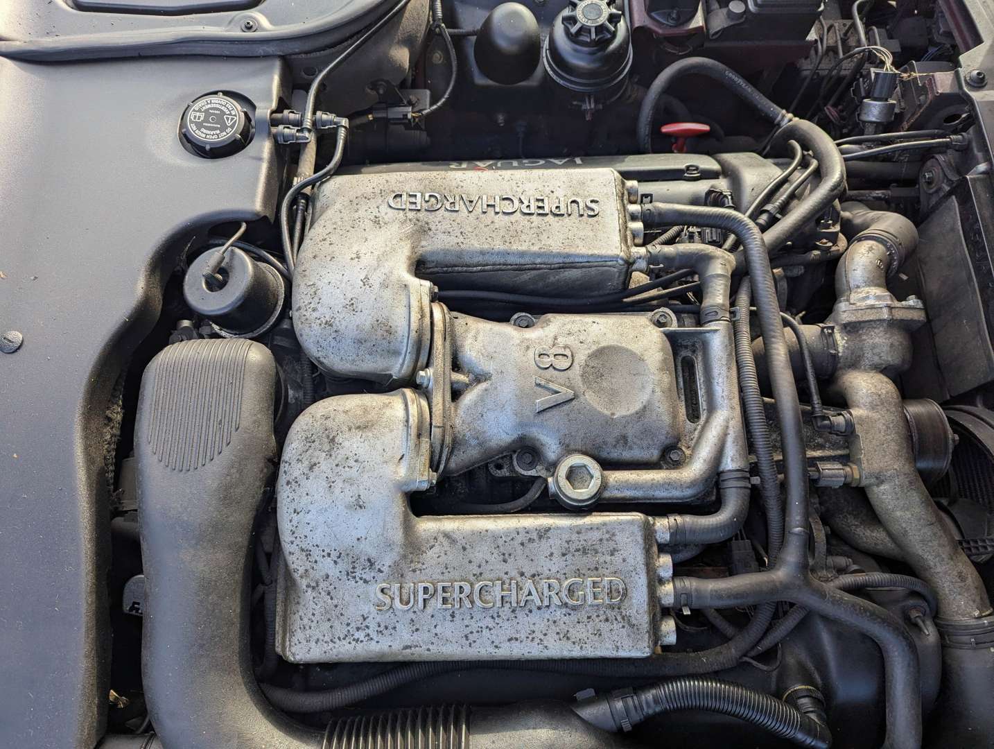 <p>1998 JAGUAR XJR V8 AUTO</p>