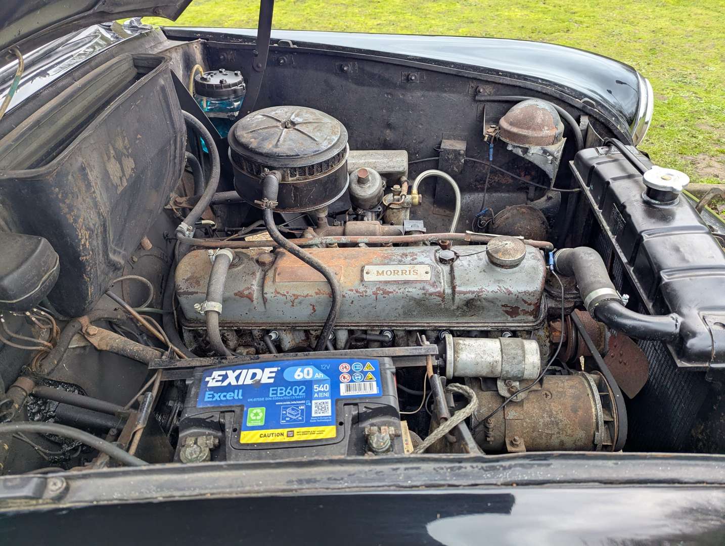 <p>1956 MORRIS ISIS SERIES I</p>