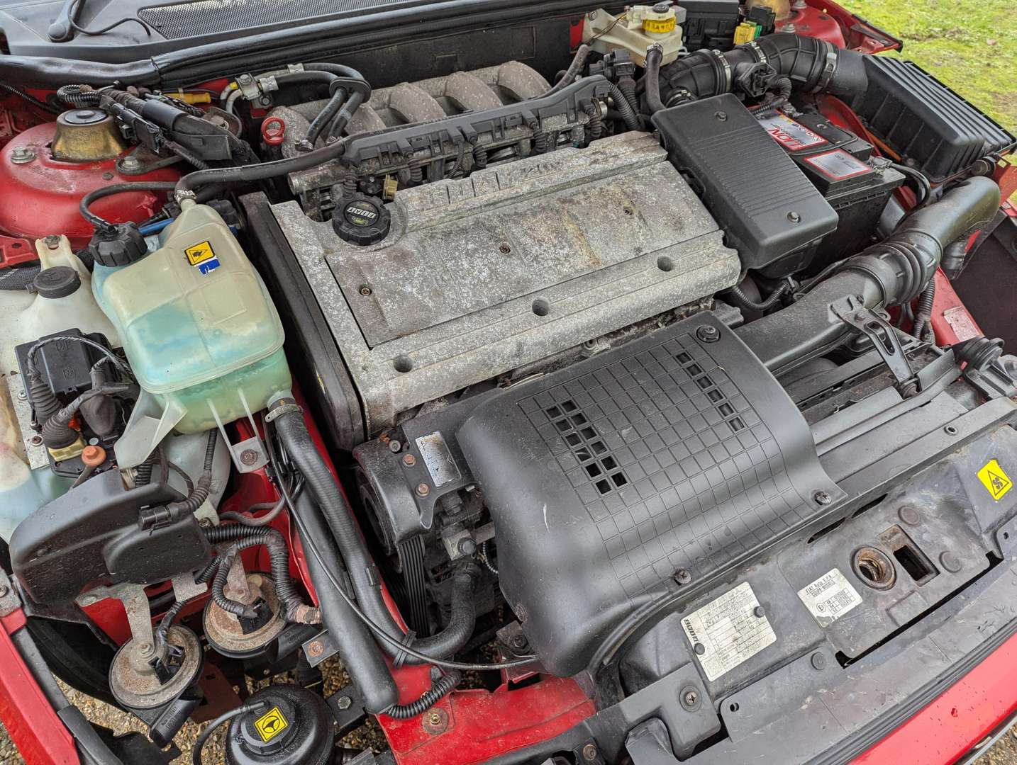 <p>1998 FIAT COUPE 20V</p>