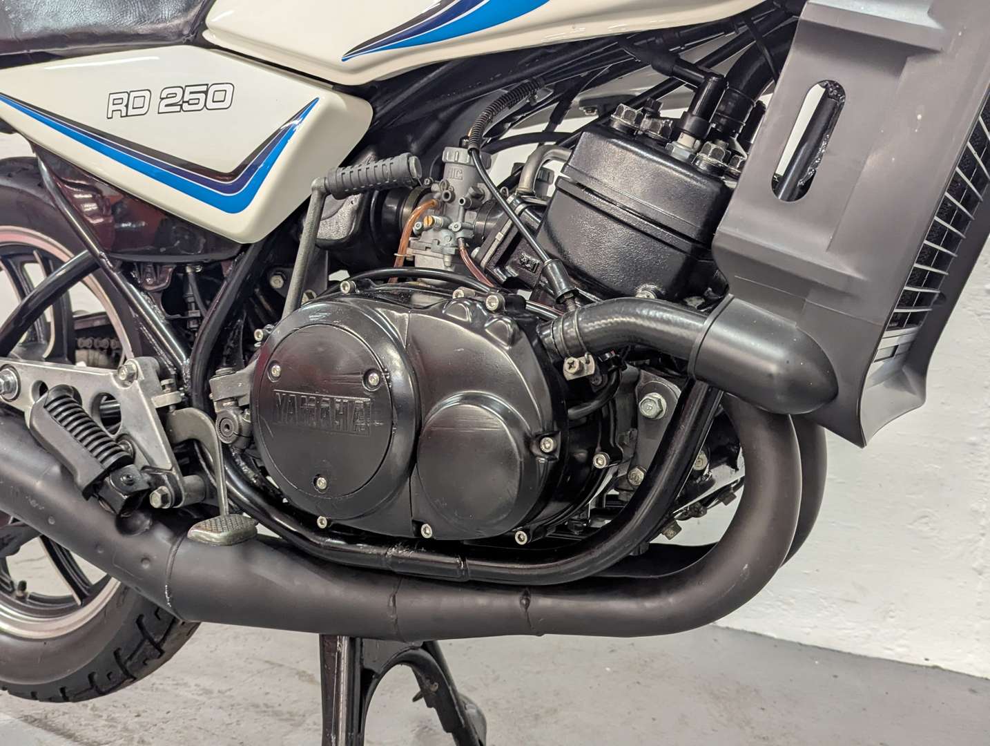 <p>1981 YAMAHA RD250</p>