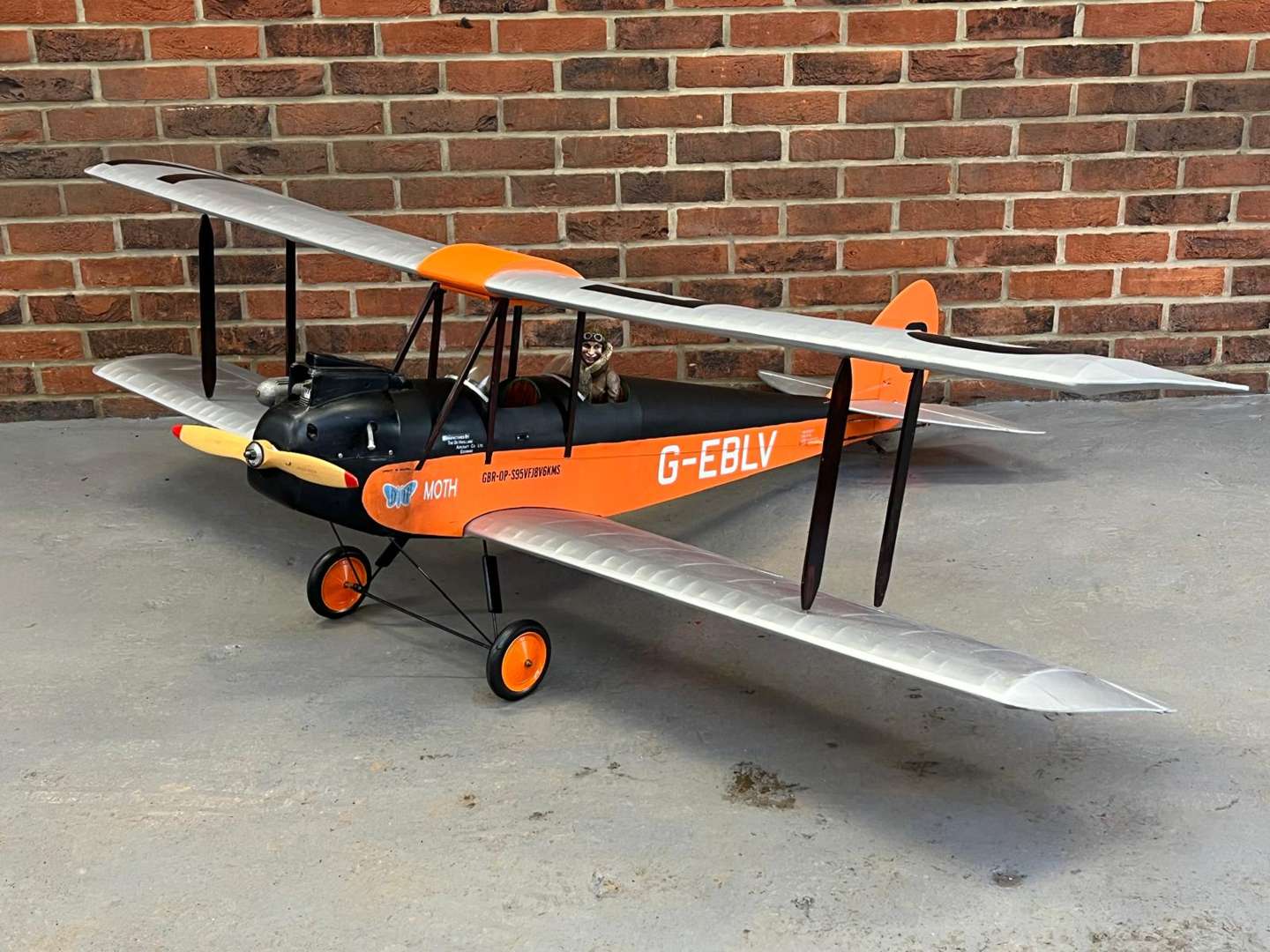 <p>Remote Controlled Tiger Moth</p>