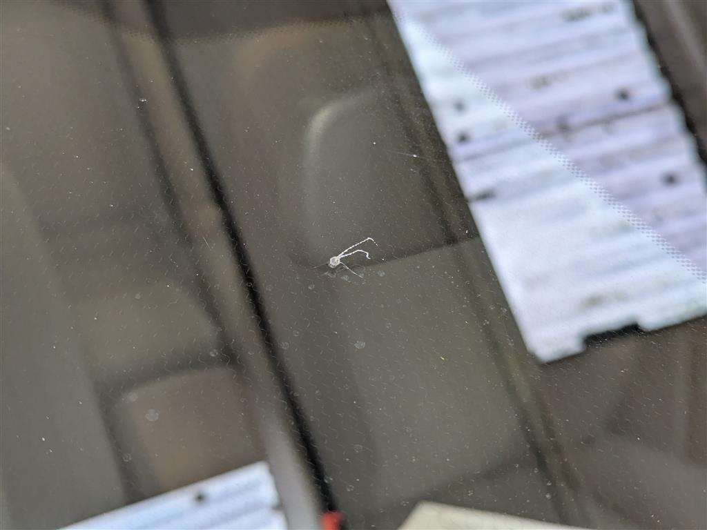 <p>2013 FORD C-MAX ZETEC TDCI</p>