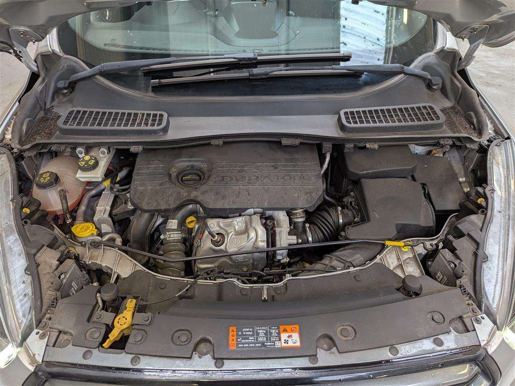 <p>2017 FORD KUGA ST-LINE TDCI</p>