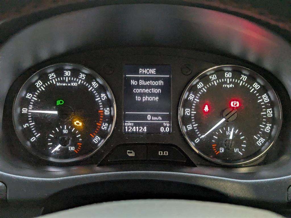 <p>2013 SKODA FABIA MONTE CARLO TECH TD</p>