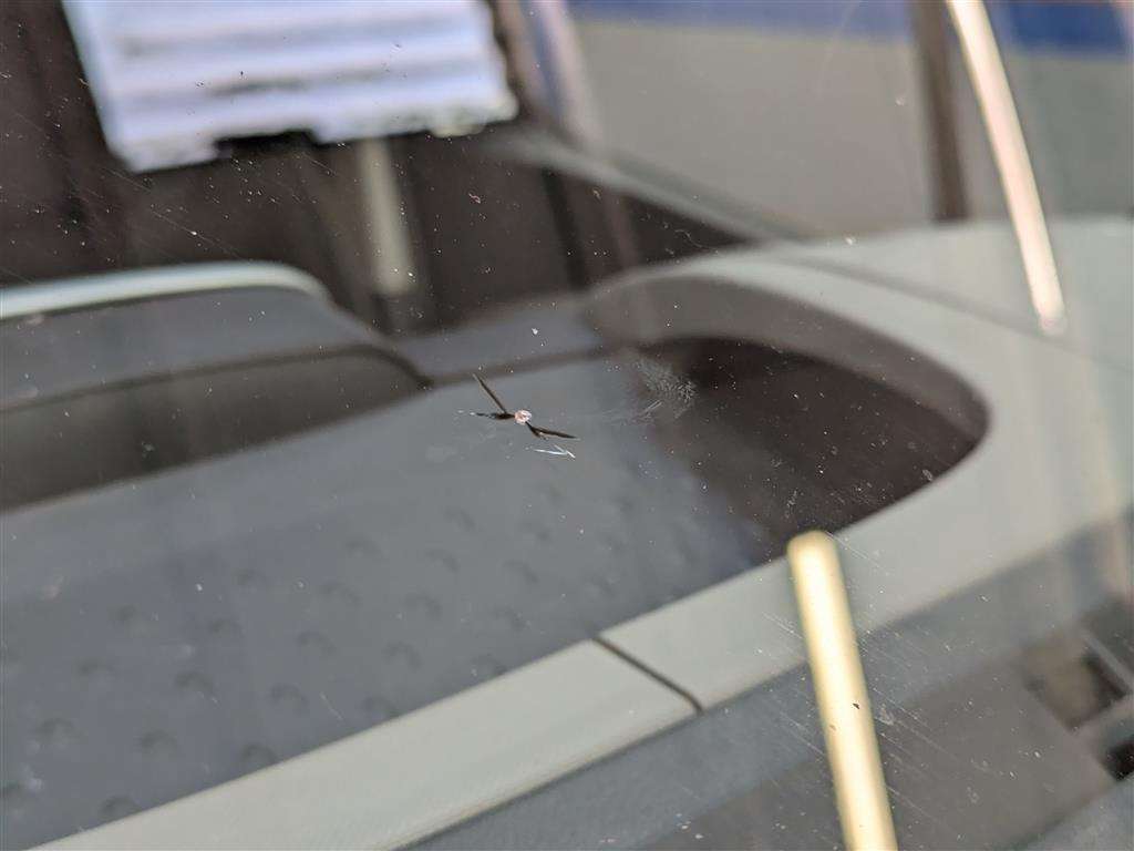 <p>2017 RENAULT TRAFIC SL27 SPORT NAV ENG</p>