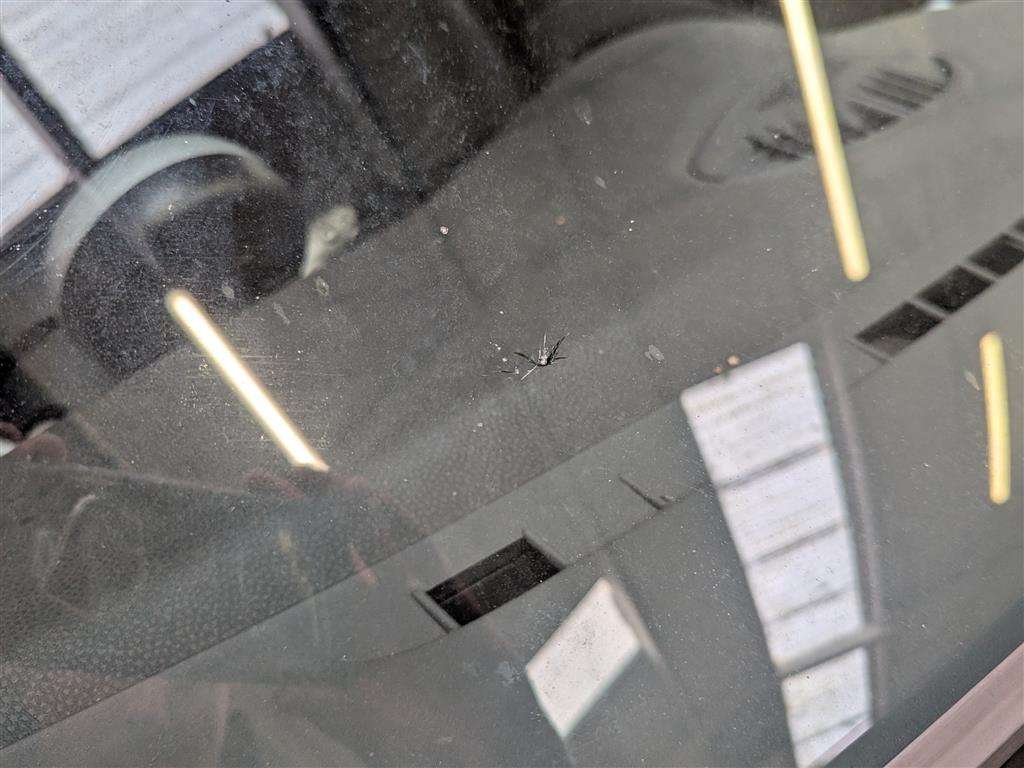 <p>2004 MINI MINI ONE</p>