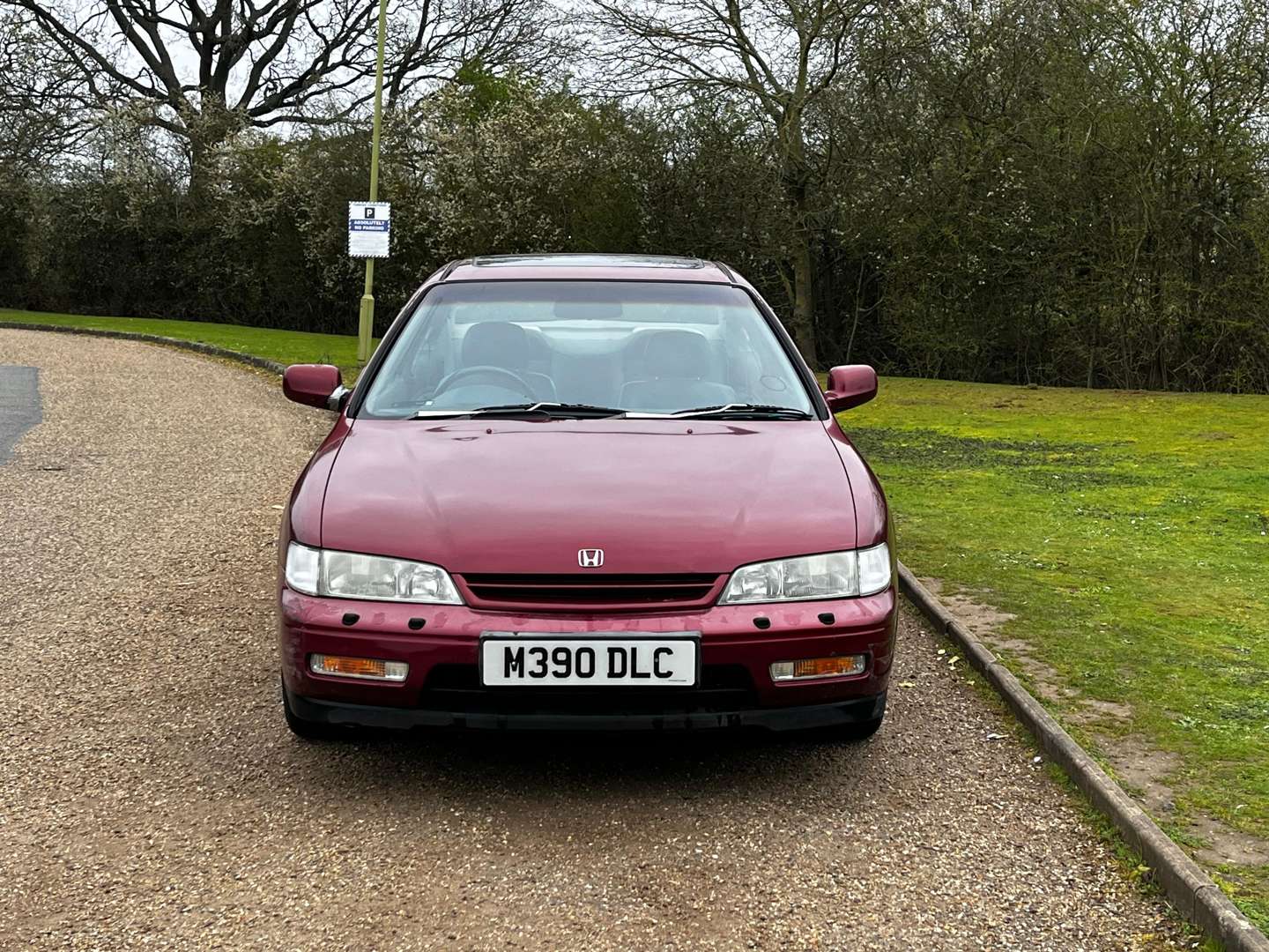 <p>1995 HONDA ACCORD ES COUPE</p>