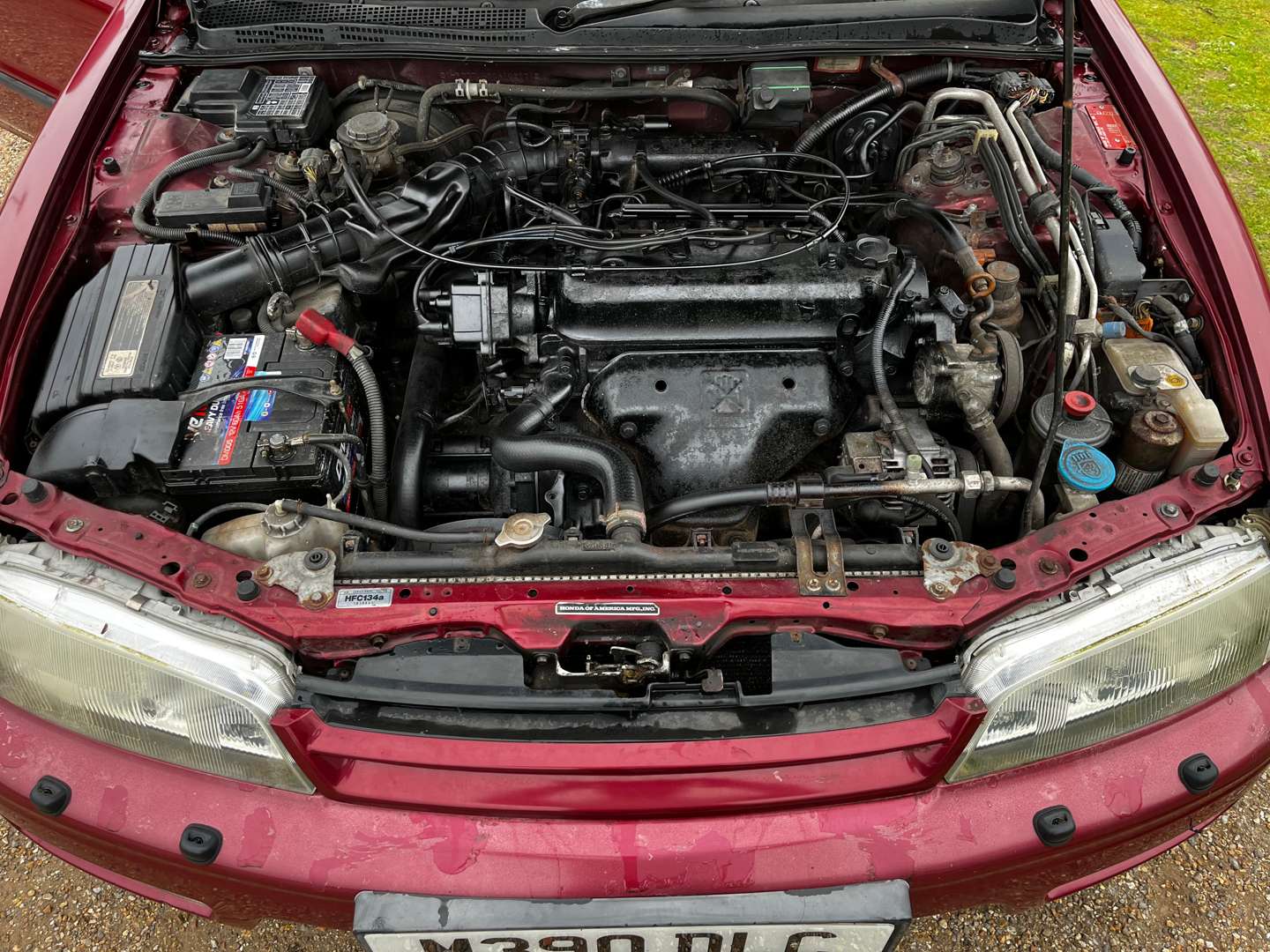 <p>1995 HONDA ACCORD ES COUPE</p>