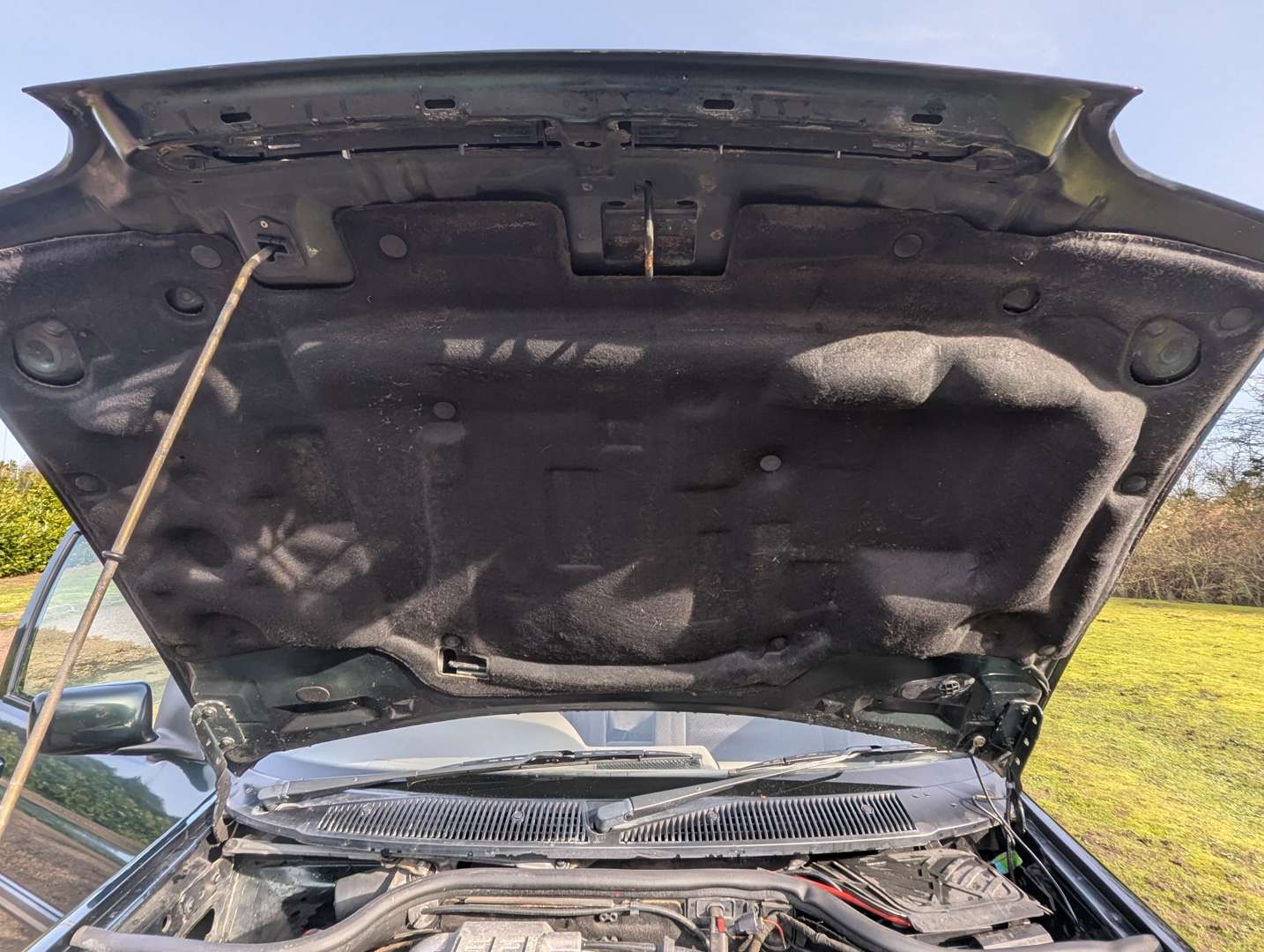 <p>1994 FORD ESCORT LX I</p>