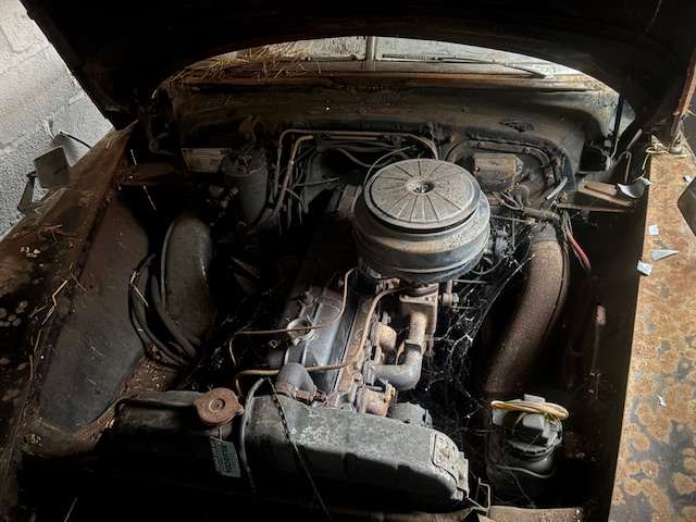 <p>1950 CHEVROLET DELUXE CONVERTIBLE LHD</p>