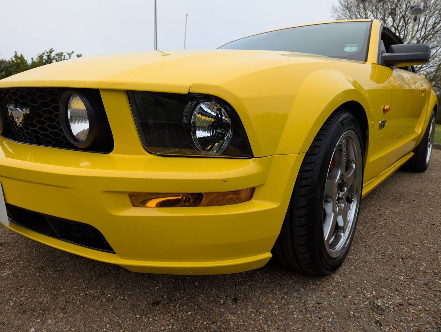 <p>2006 FORD MUSTANG AUTO LHD</p>
