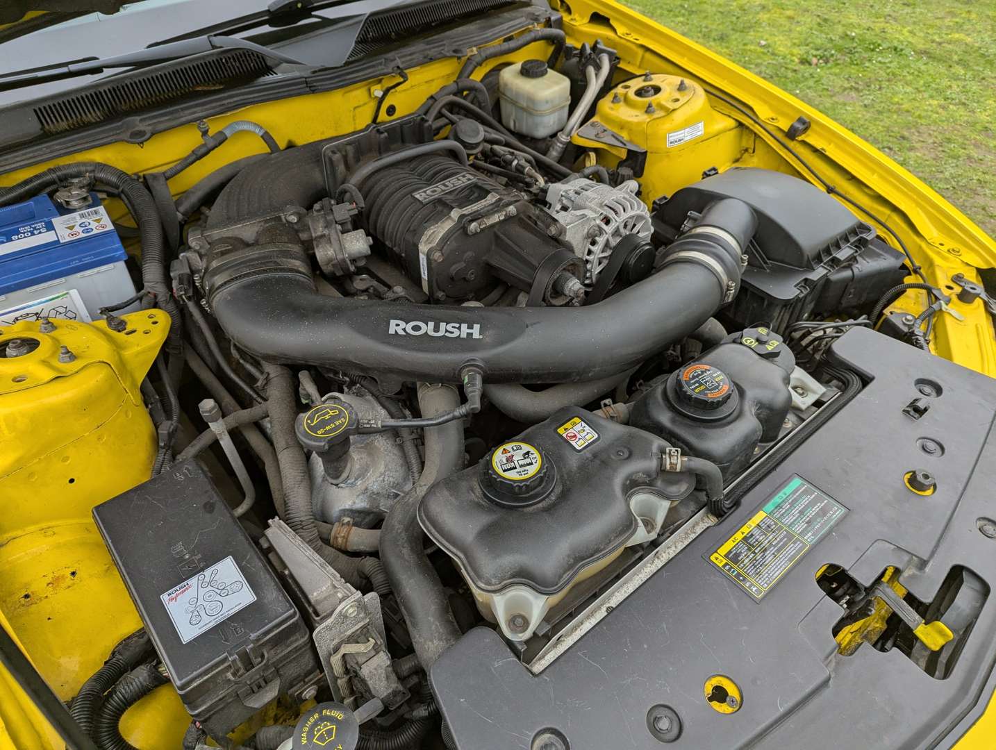 <p>2006 FORD MUSTANG AUTO LHD</p>