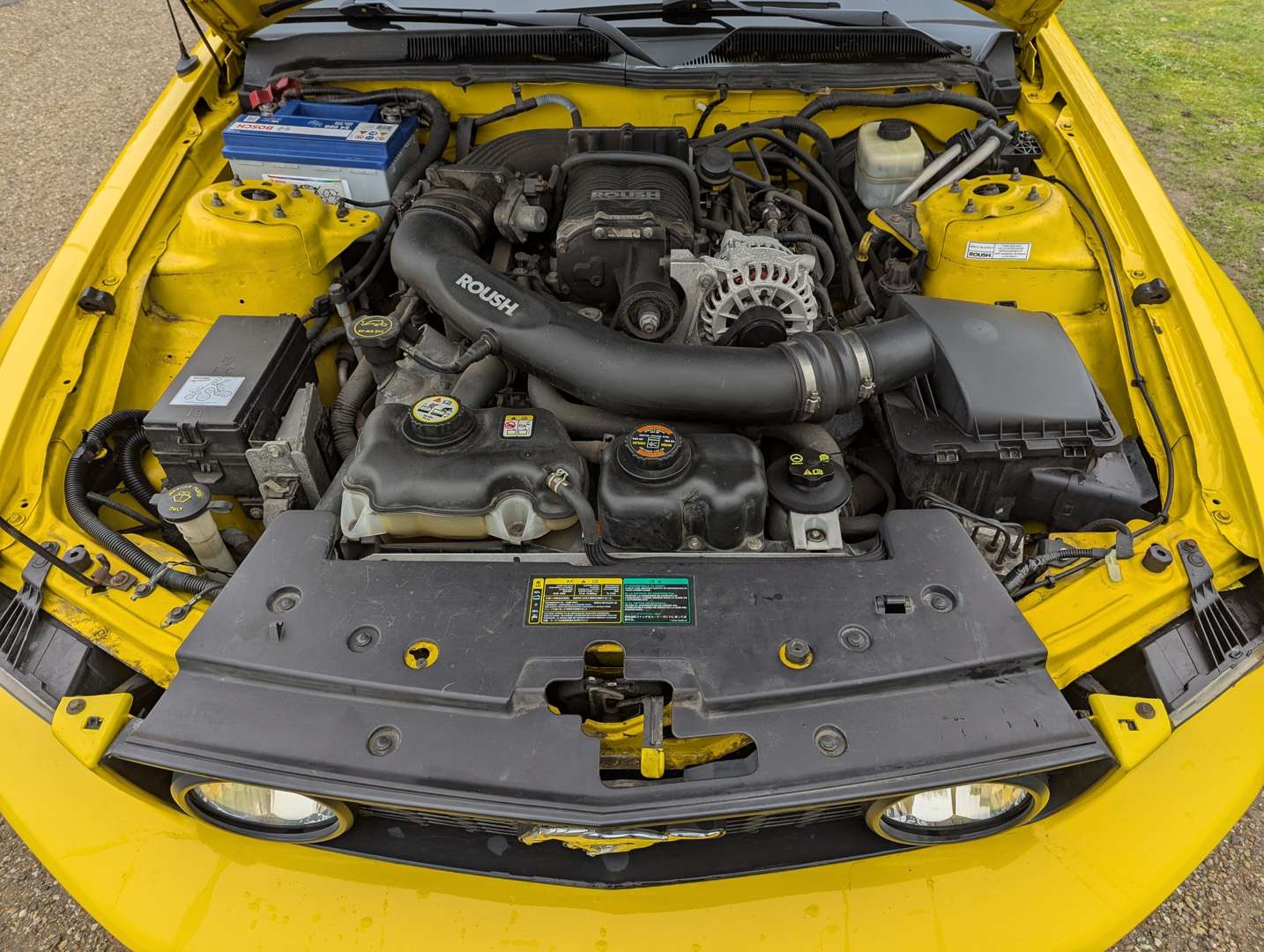 <p>2006 FORD MUSTANG AUTO LHD</p>