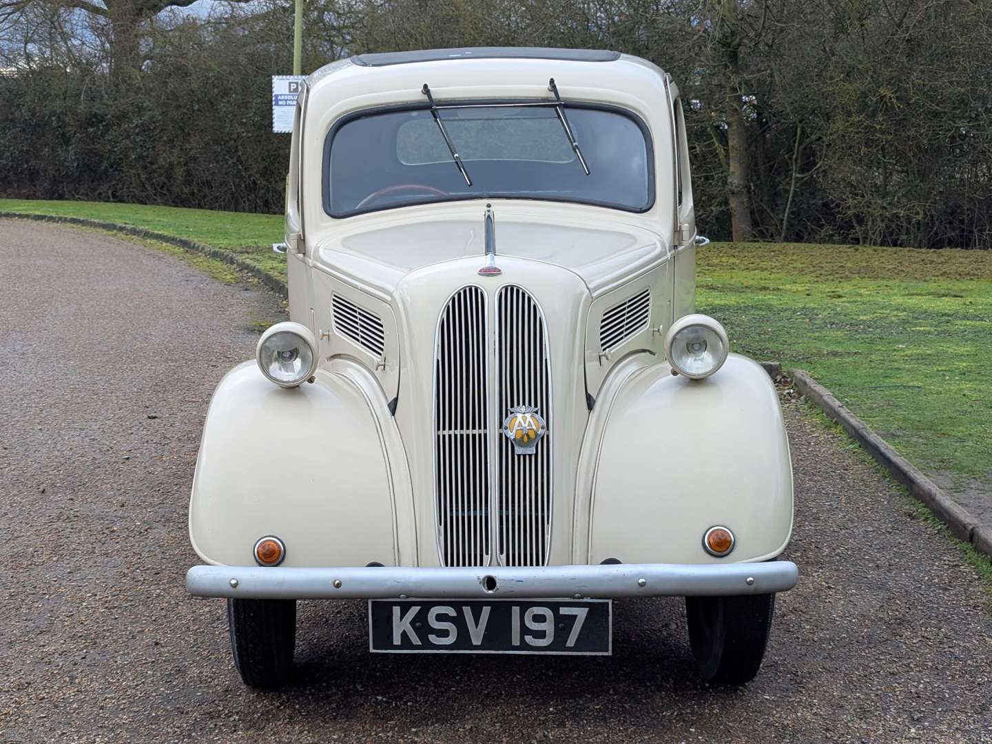 <p>1954 FORD POPULAR</p>