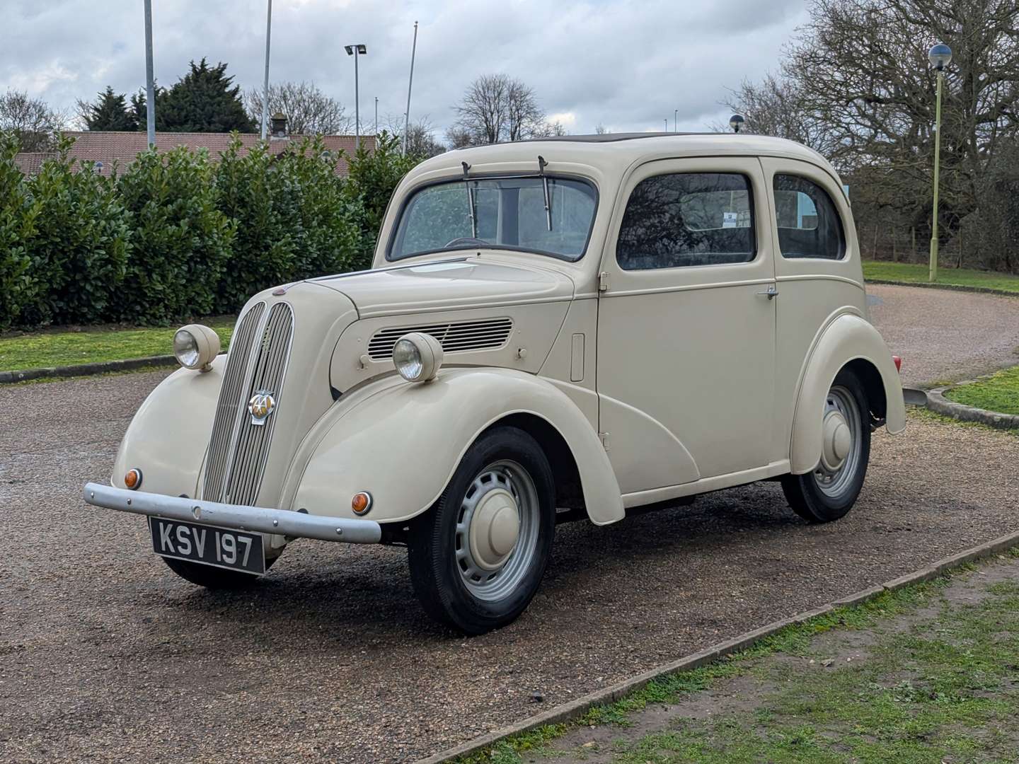 <p>1954 FORD POPULAR</p>