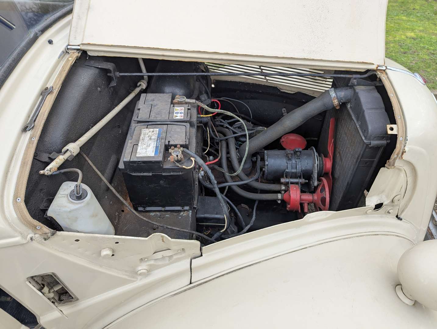 <p>1954 FORD POPULAR</p>