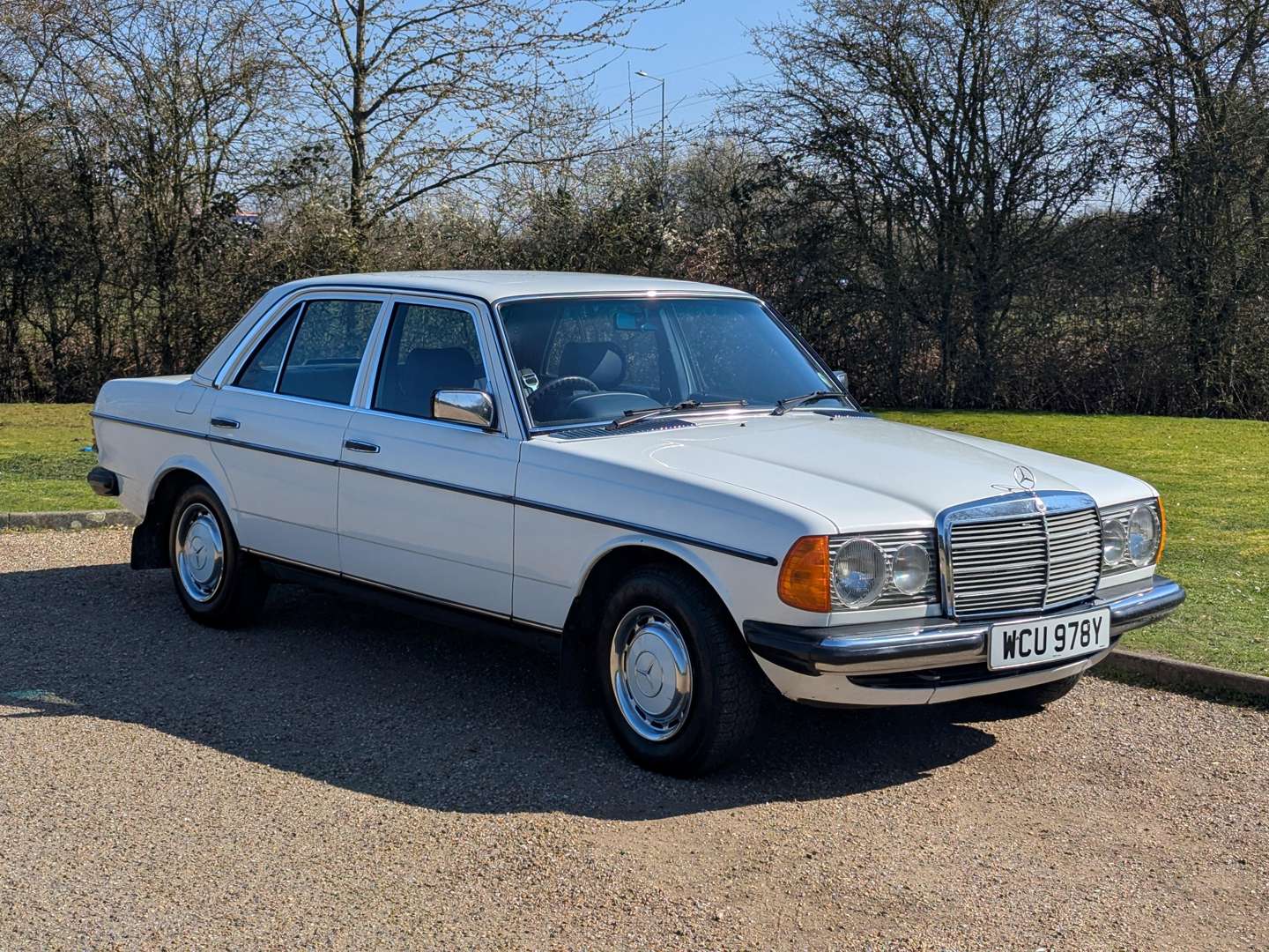 <p>1982 MERCEDES 240D W123</p>