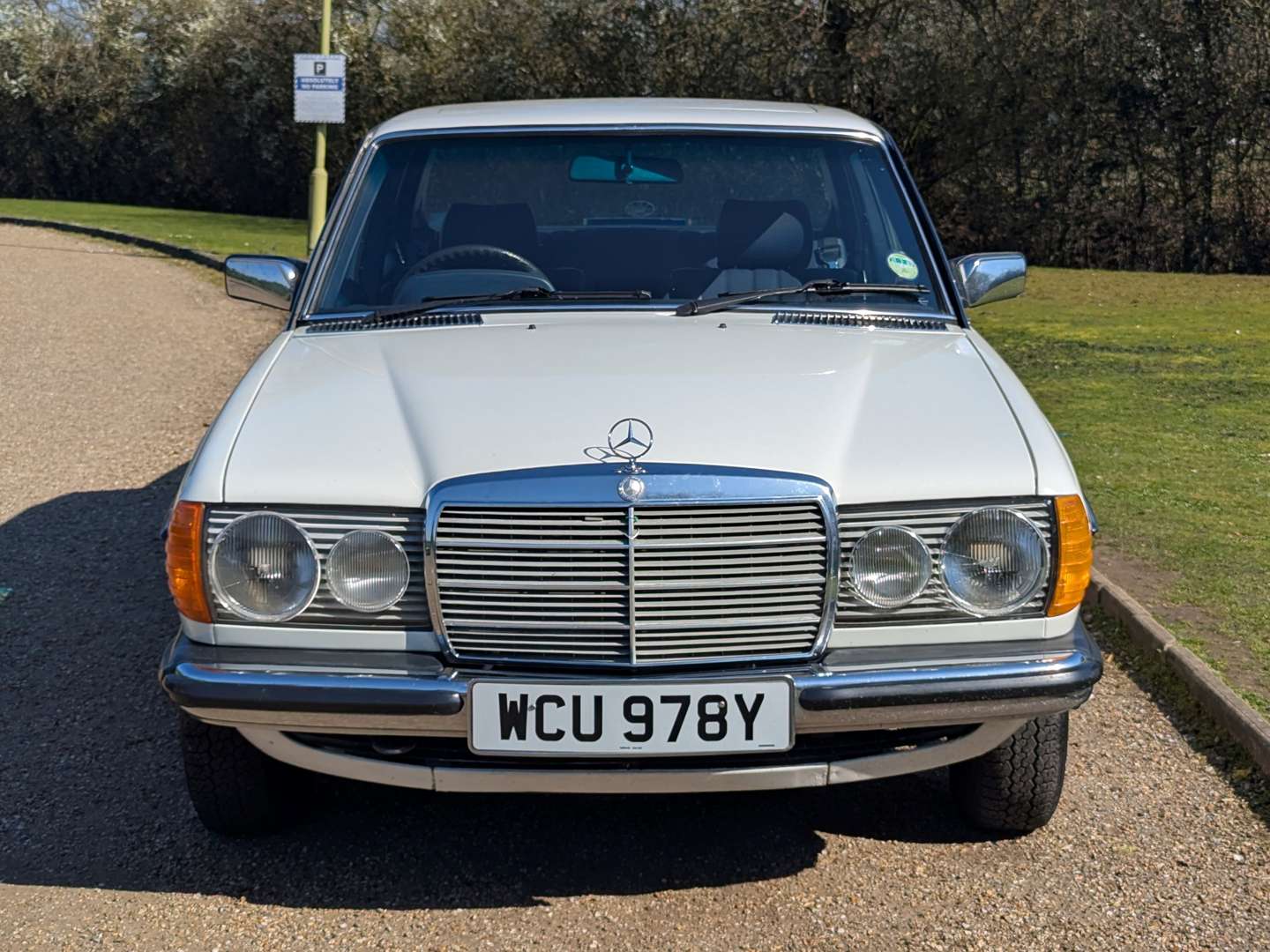 <p>1982 MERCEDES 240D W123</p>
