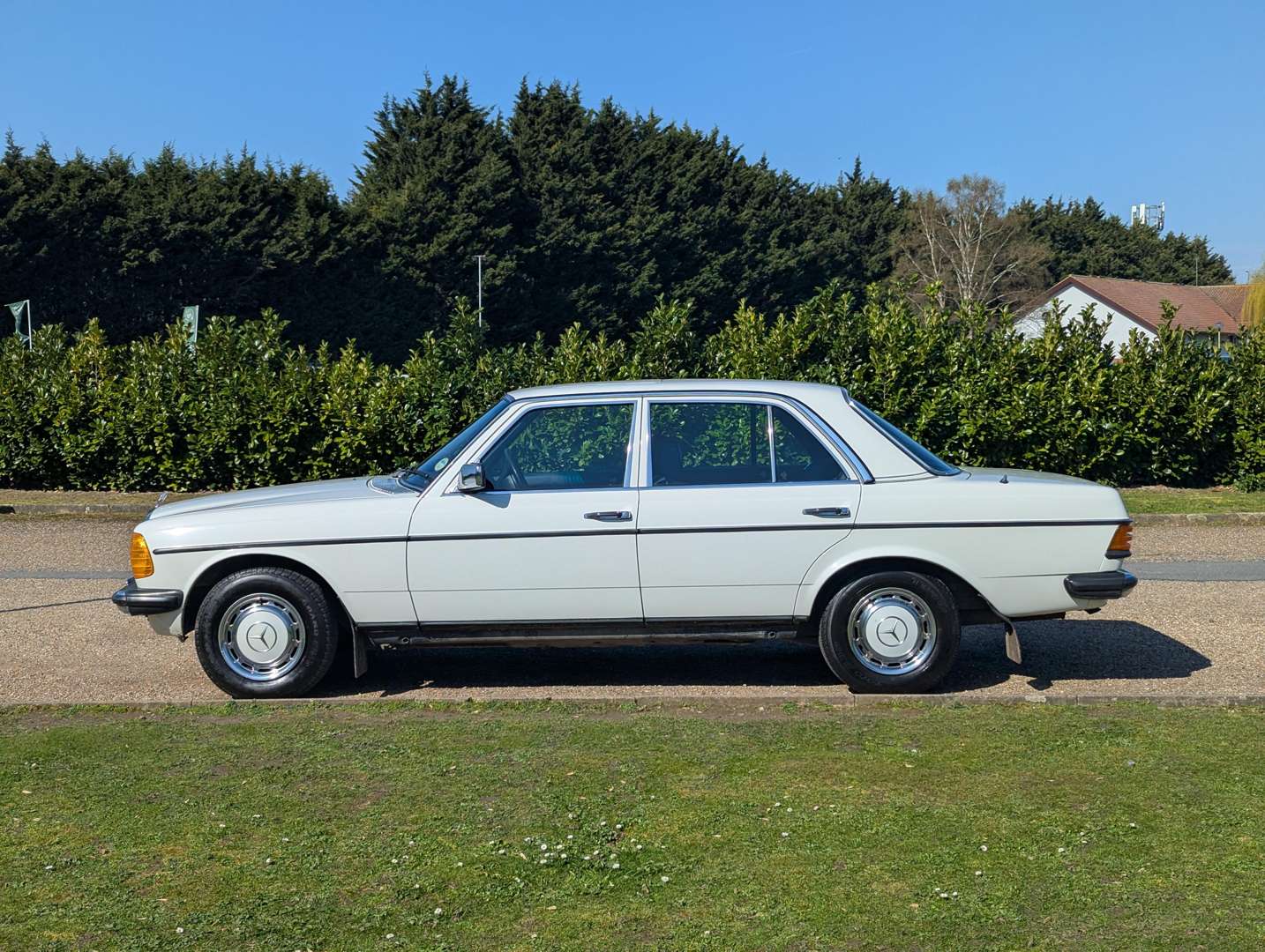 <p>1982 MERCEDES 240D W123</p>