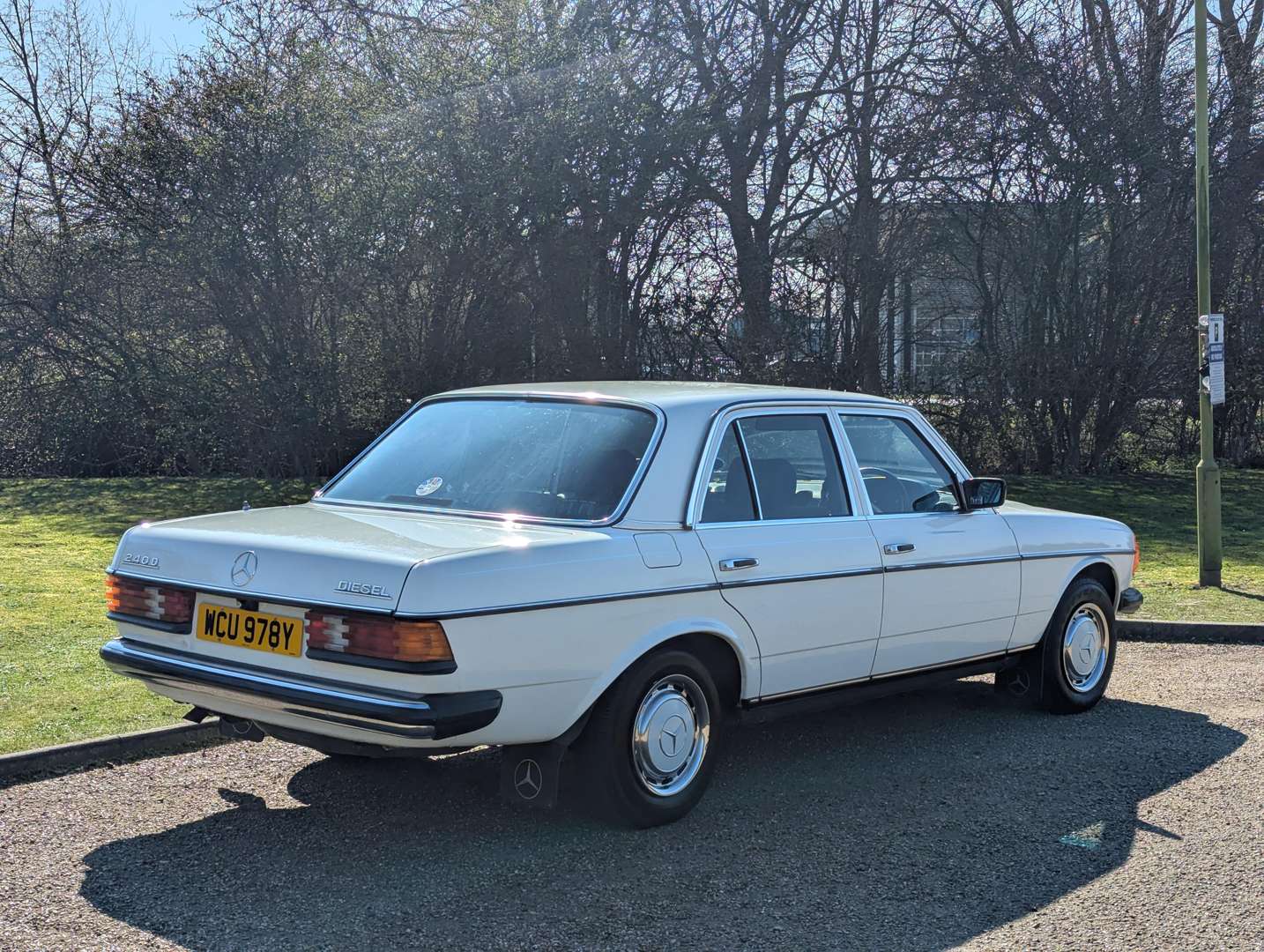 <p>1982 MERCEDES 240D W123</p>