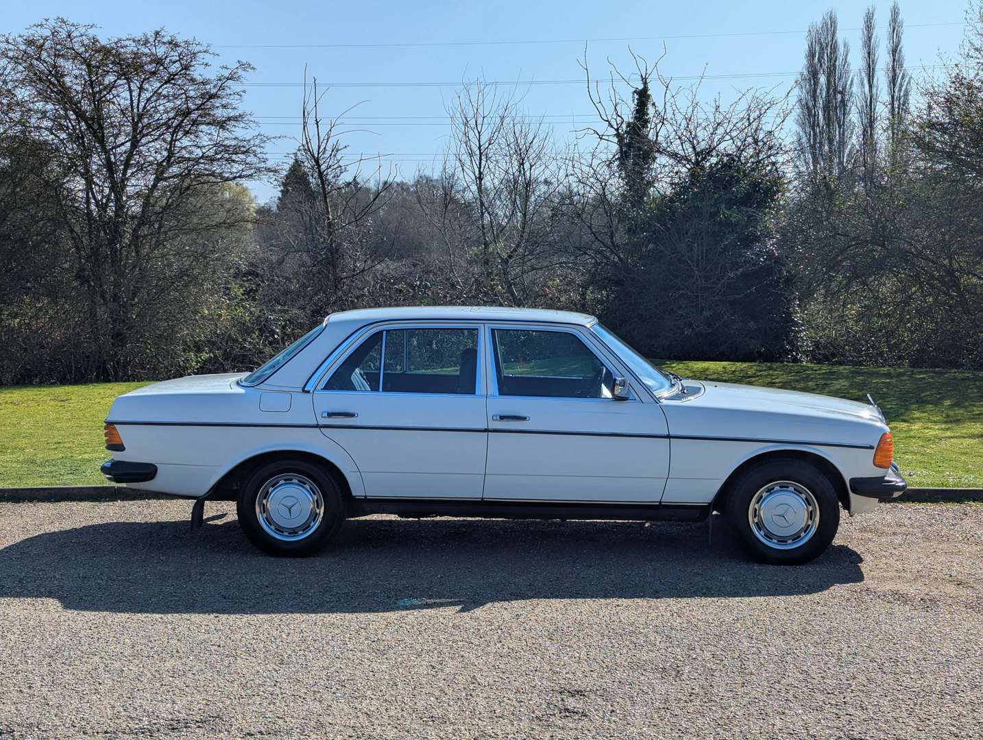 <p>1982 MERCEDES 240D W123</p>