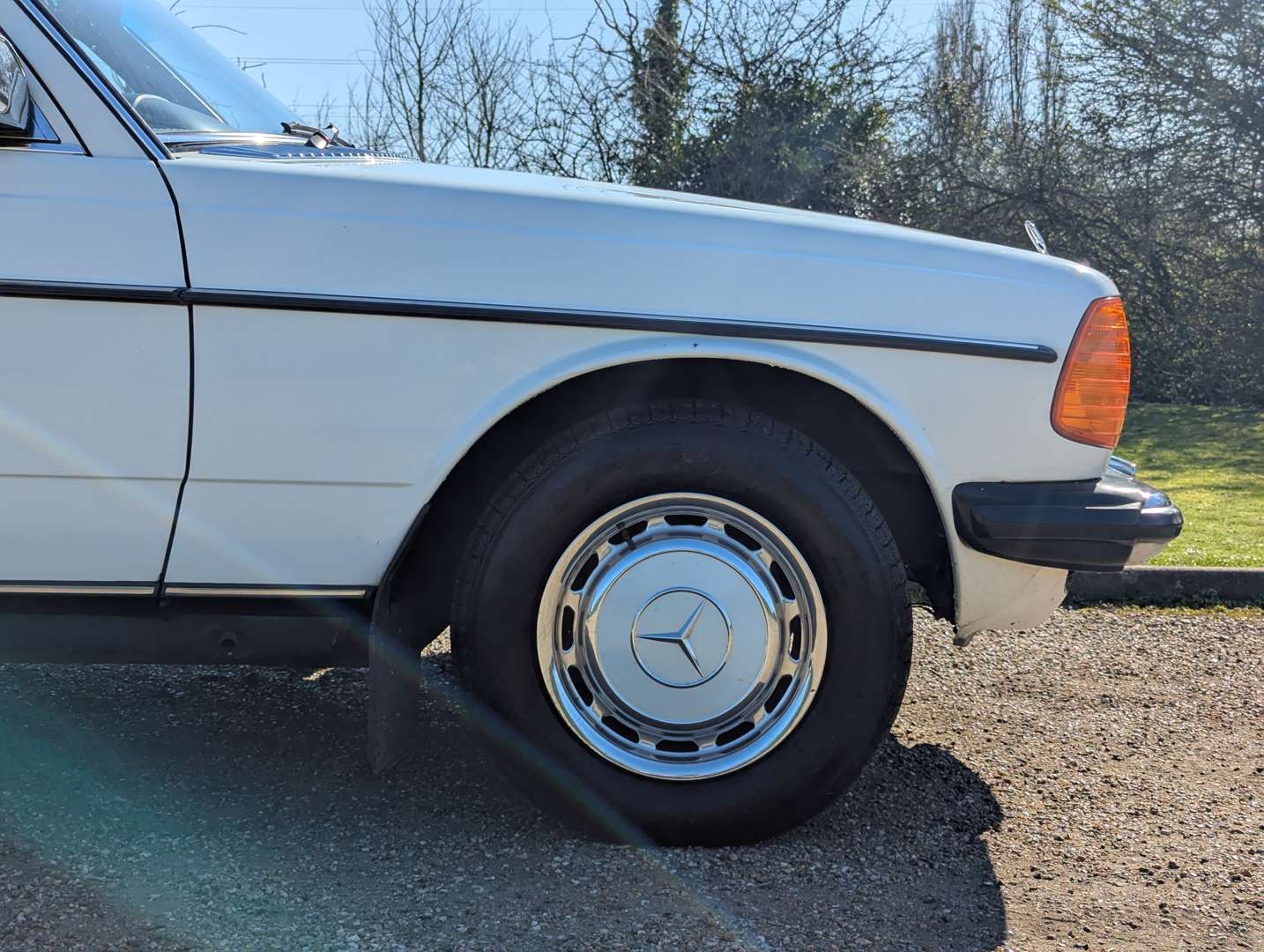 <p>1982 MERCEDES 240D W123</p>