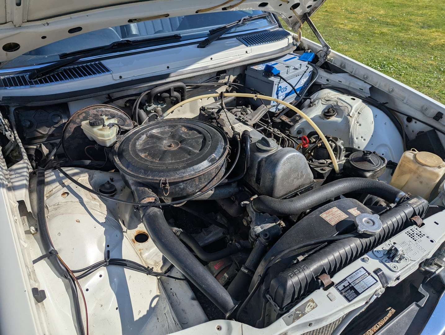 <p>1982 MERCEDES 240D W123</p>