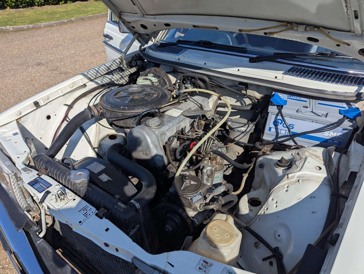 <p>1982 MERCEDES 240D W123</p>