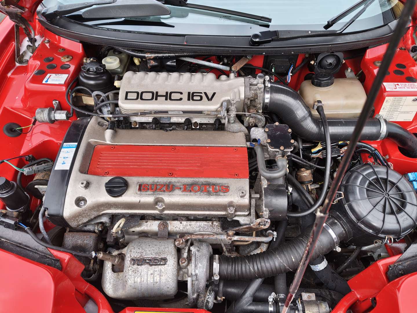 <p>1994 LOTUS ELAN S2</p>