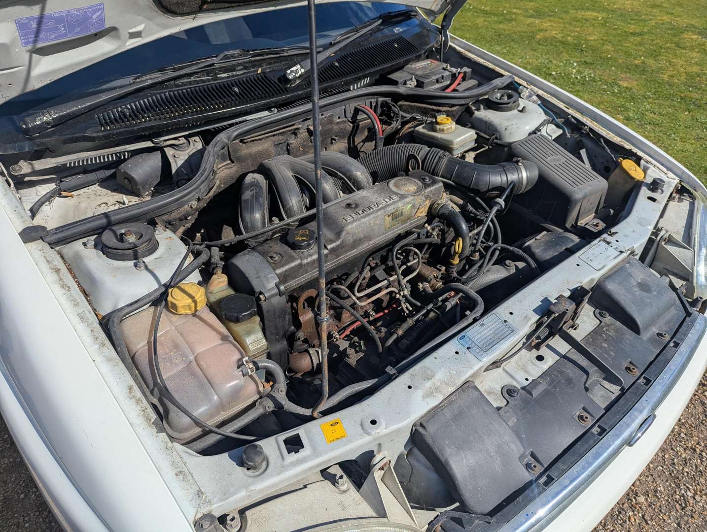 <p>2001 FORD ESCORT VAN 55D</p>