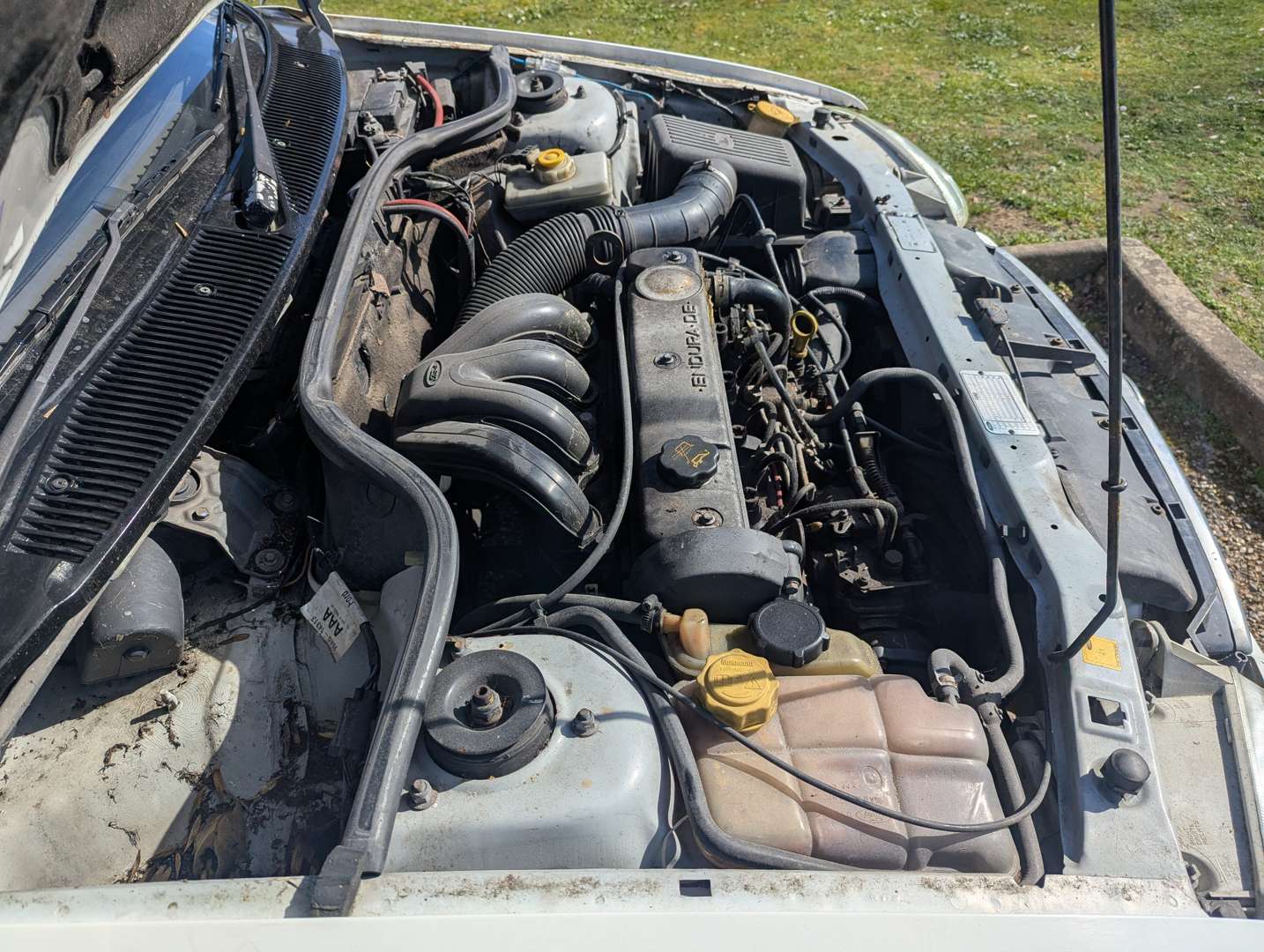 <p>2001 FORD ESCORT VAN 55D</p>