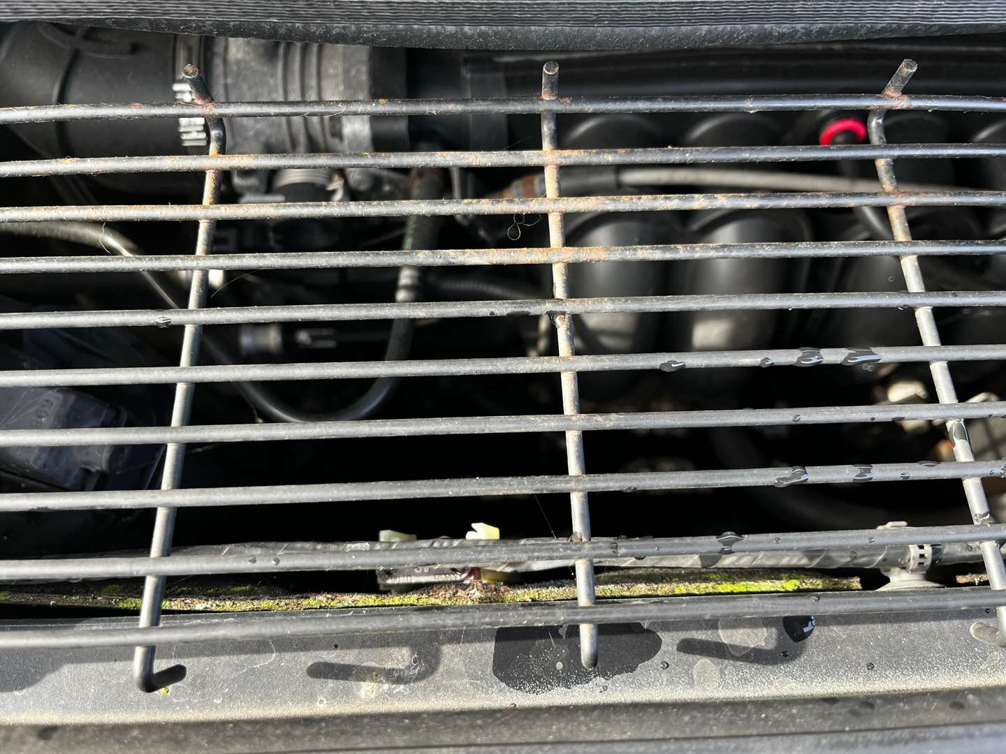 <p>2002 MG F STEPTRONIC</p>