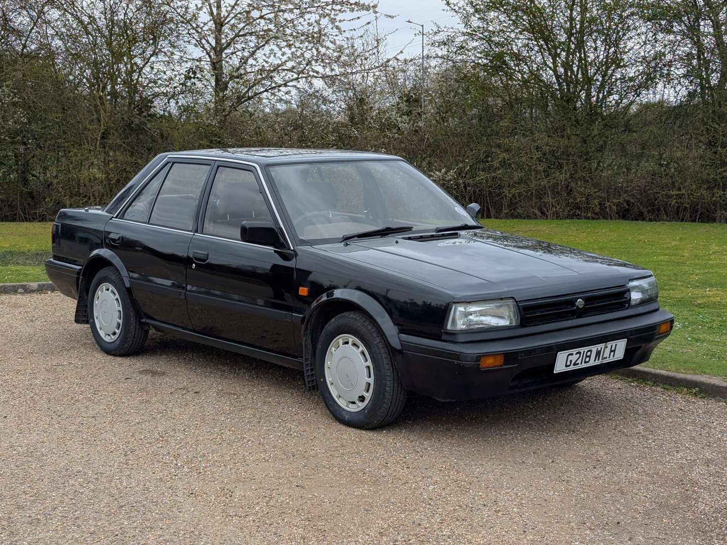 Image Placeholders2_edited.jpg