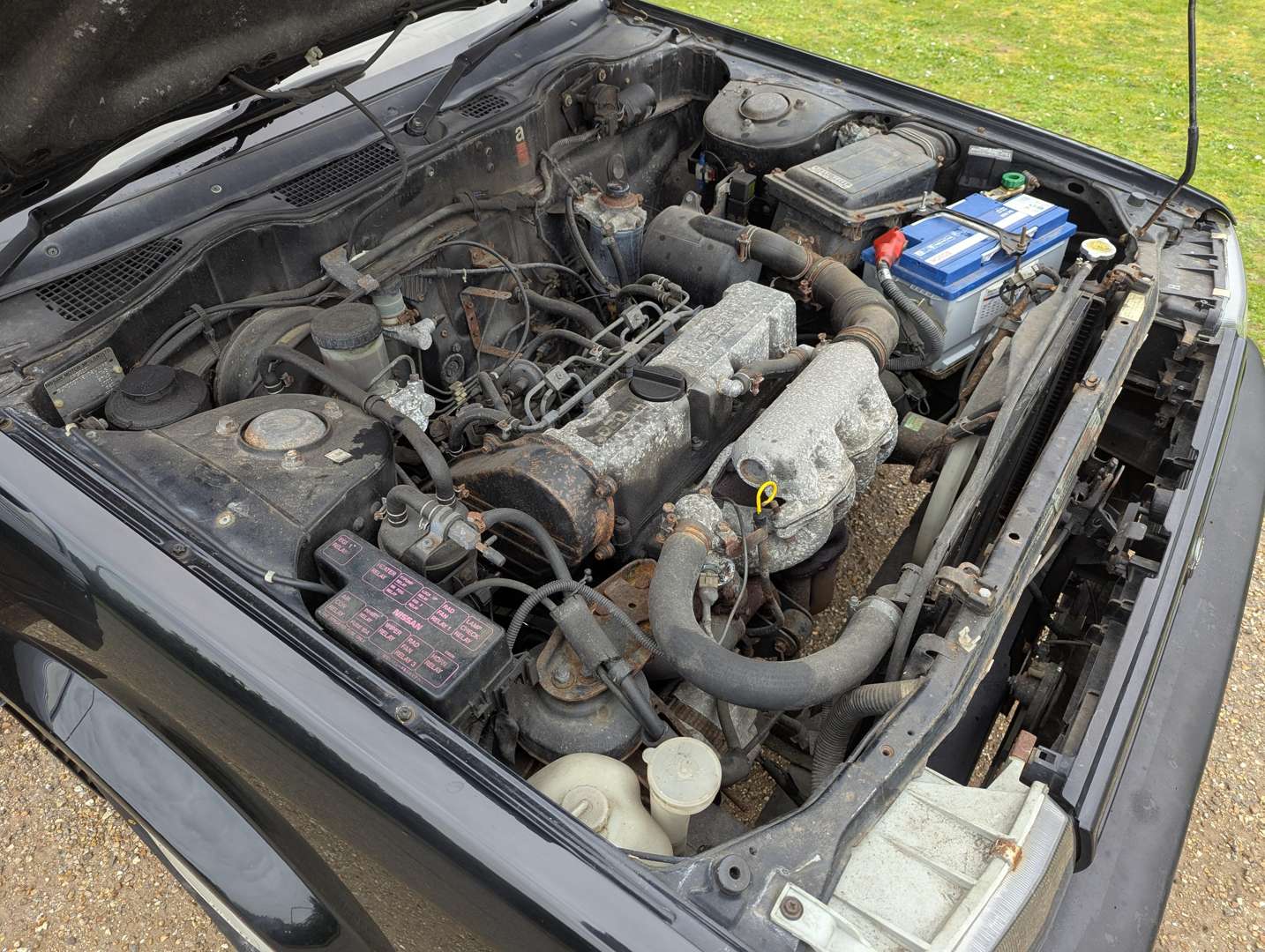 <p>1989 NISSAN BLUEBIRD LXD DIESEL</p>