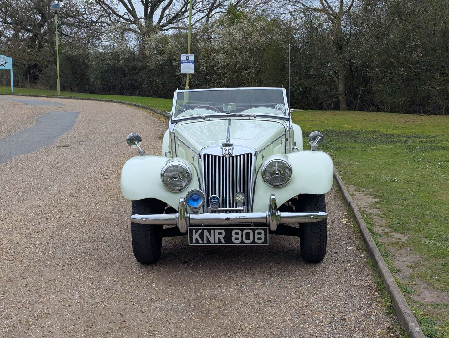 <p>1954 MG TF</p>