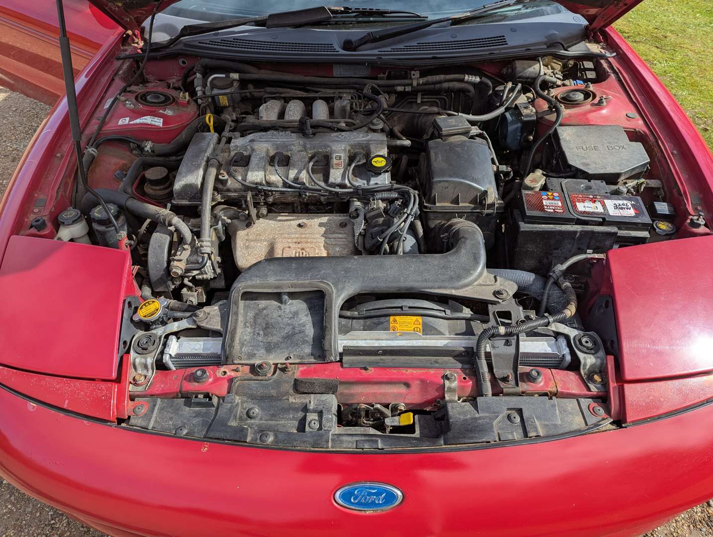 <p>1996 FORD PROBE 16V</p>