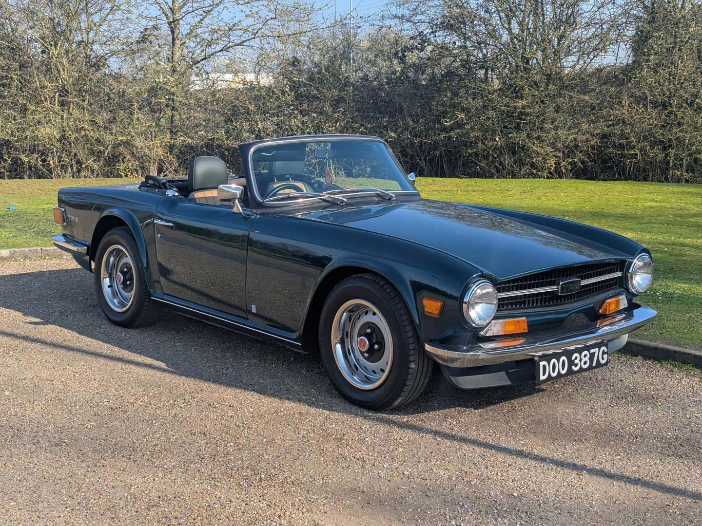 <p>1969 TRIUMPH TR6</p>
