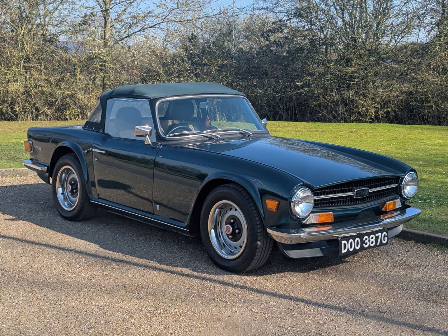 <p>1969 TRIUMPH TR6</p>