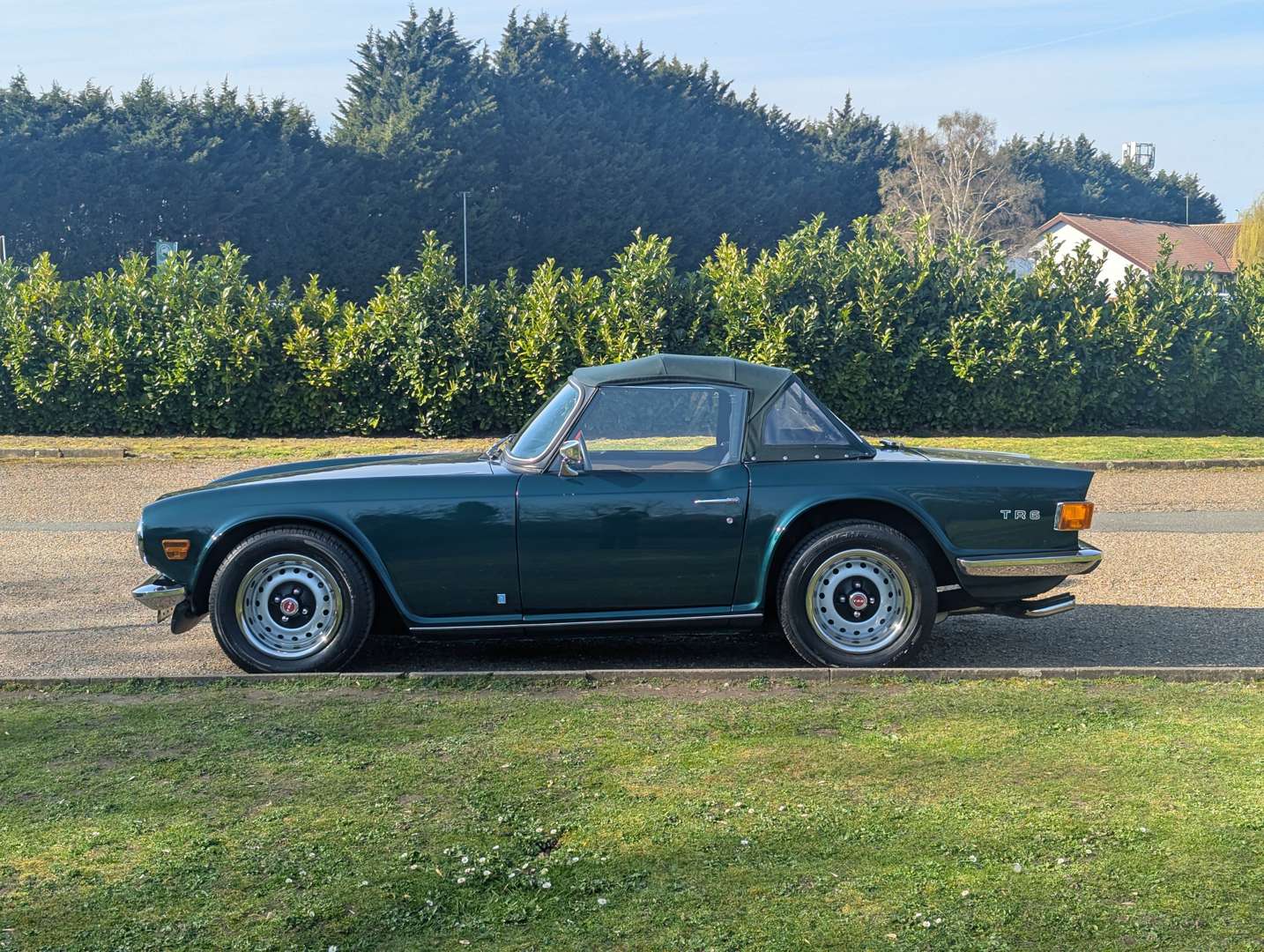 <p>1969 TRIUMPH TR6</p>