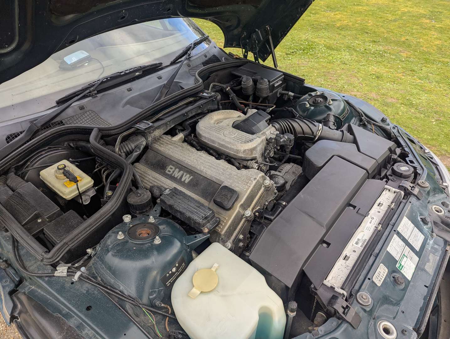 <p>1998 BMW Z3 1.9L</p>