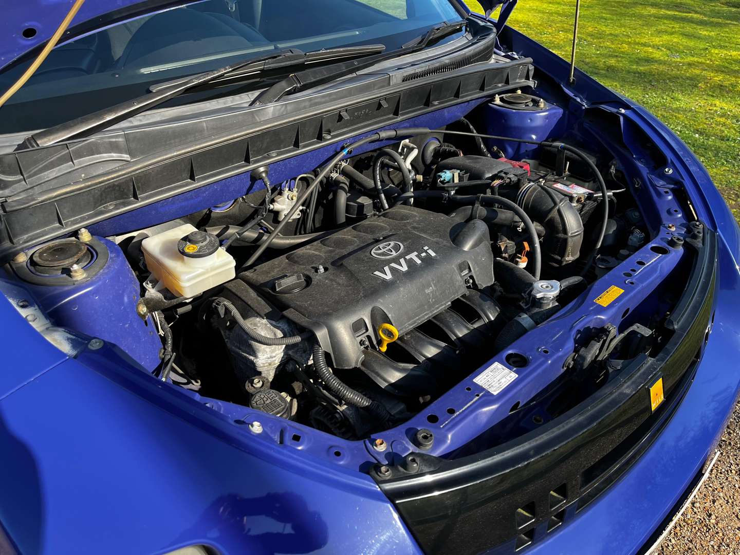 <p>2003 TOYOTA WILL</p>