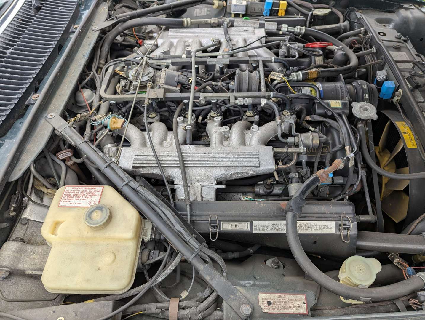 <p>1991 JAGUAR XJ-S LE MANS EDITION</p>