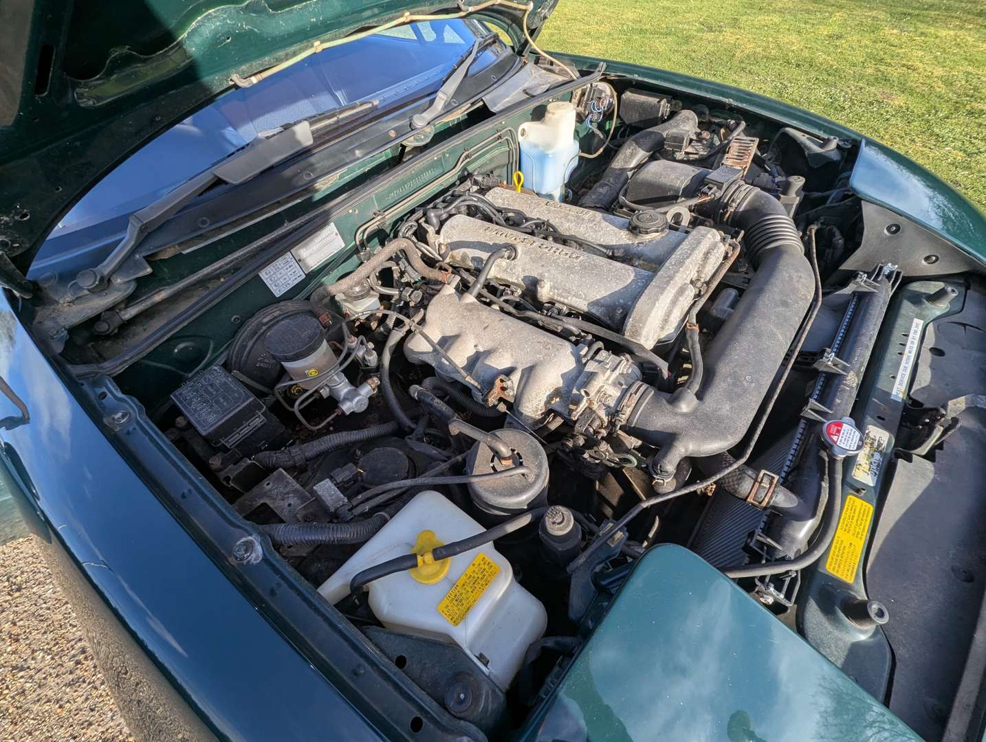 <p>1994 MAZDA MX-5</p>