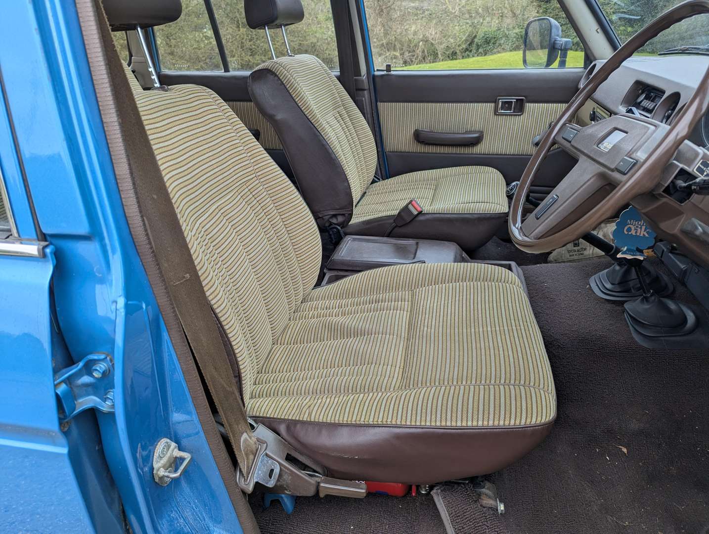 <p>1982 TOYOTA LAND CRUISER</p>