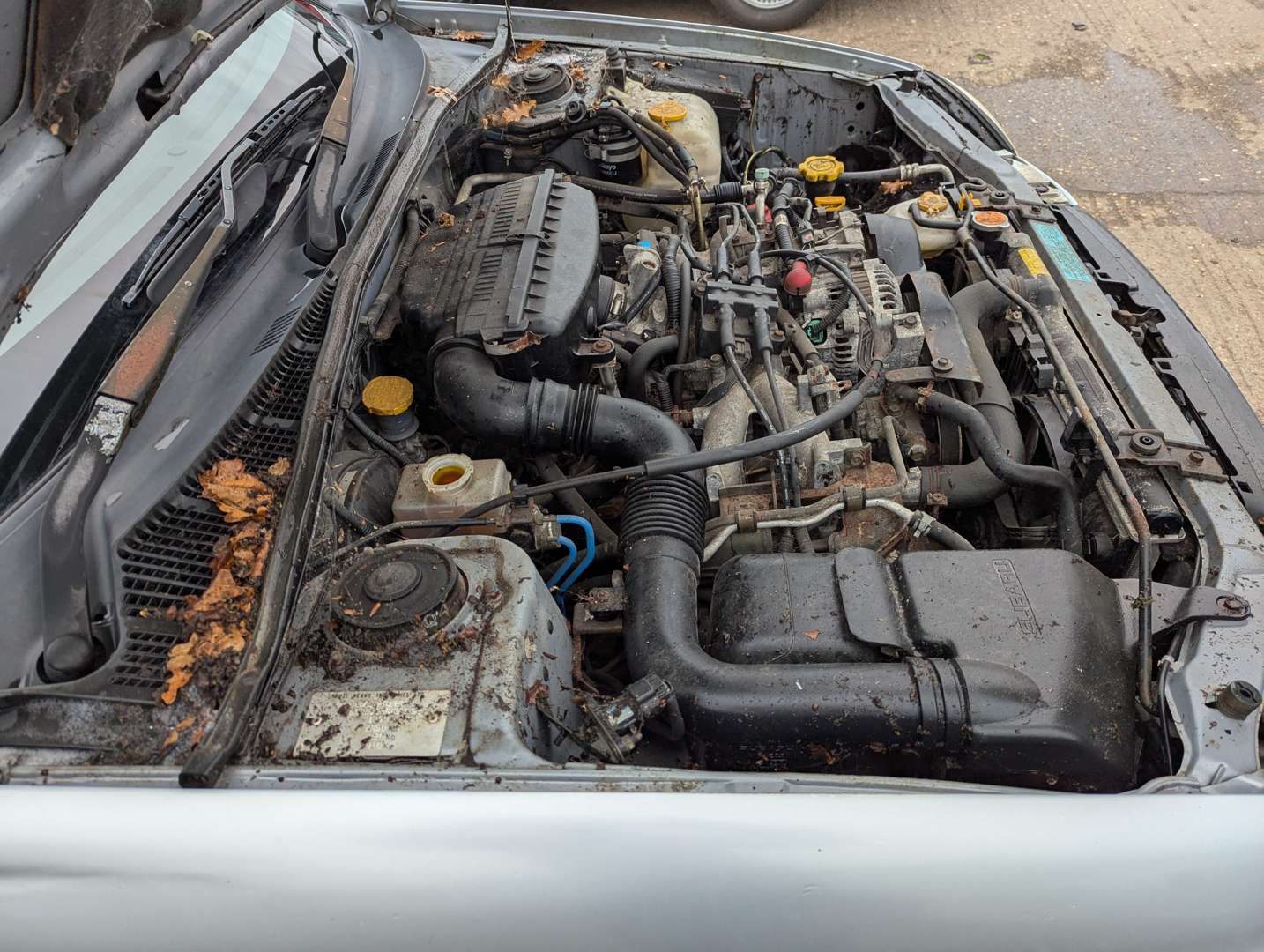 <p>2003 SUBARU IMPREZA GX AWD</p>