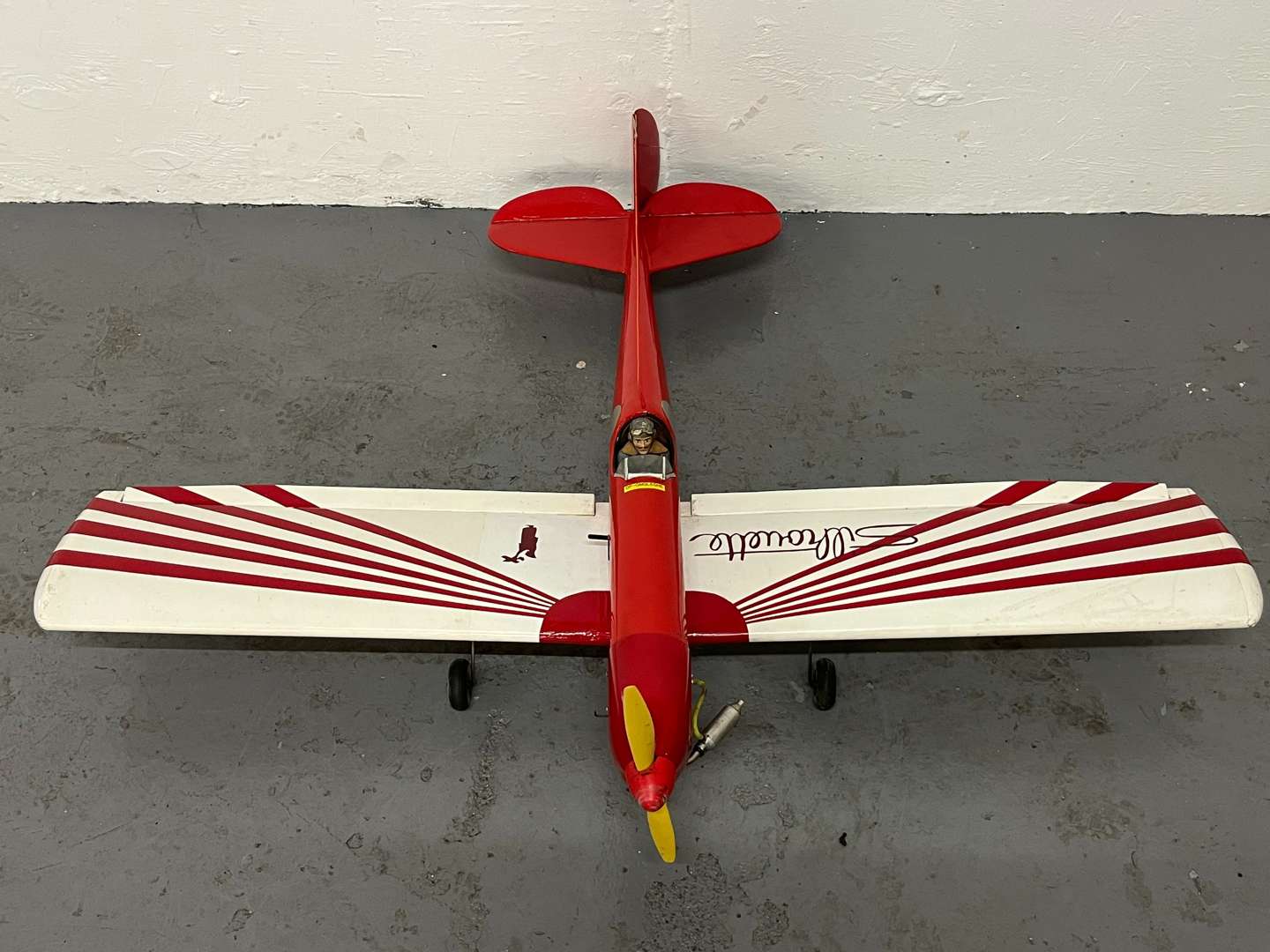 <p>Silhouette Remote Controlled Aeroplane &nbsp;</p>