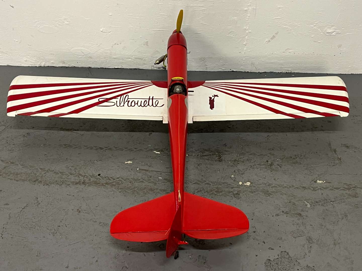 <p>Silhouette Remote Controlled Aeroplane &nbsp;</p>